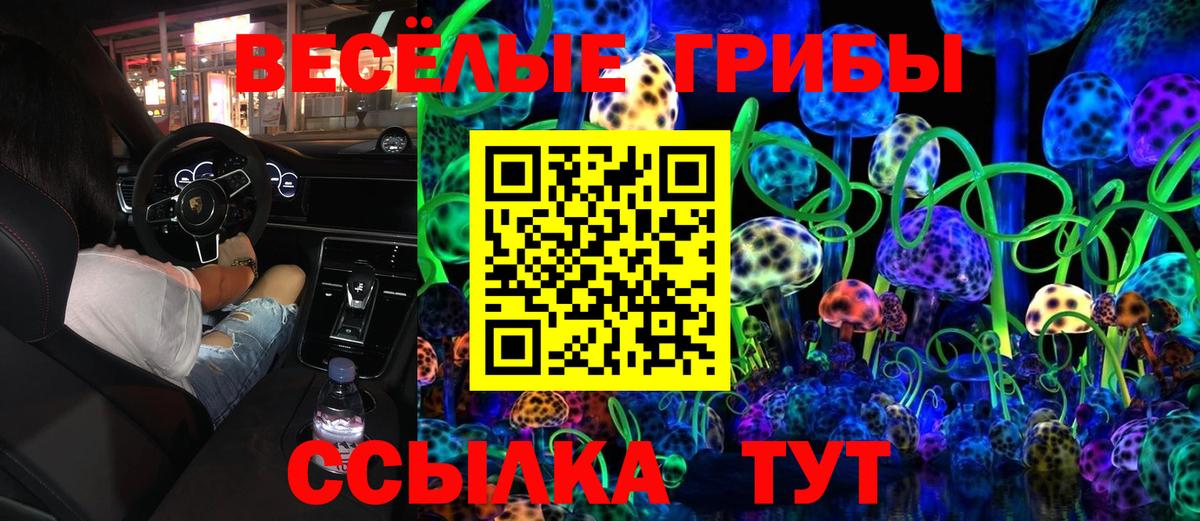 Галлюциногенные грибы Psilocybe  Вход с VPN  Шелехов 