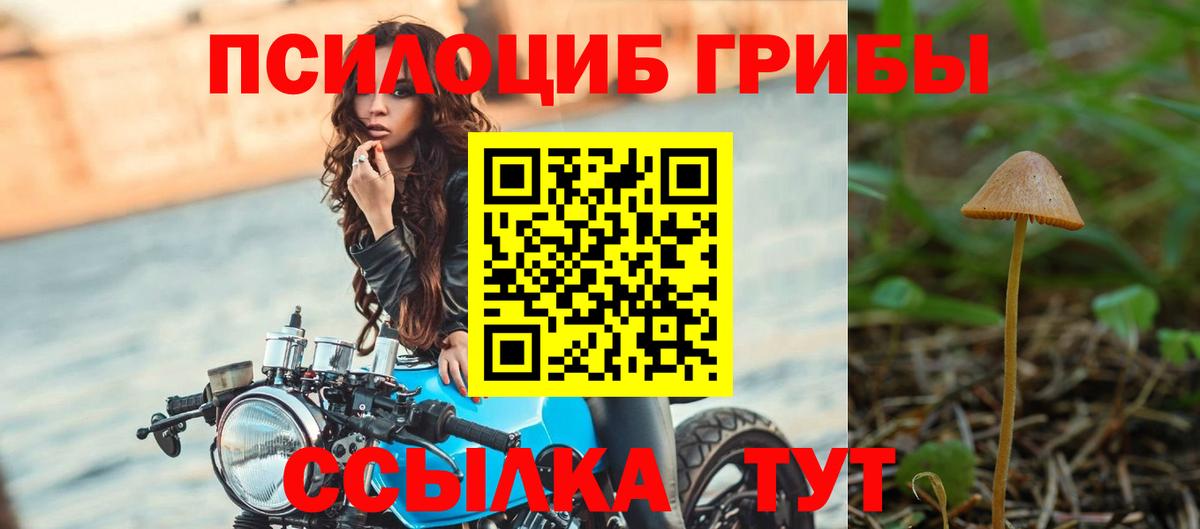 Псилоцибиновые грибы Cubensis Шелехов